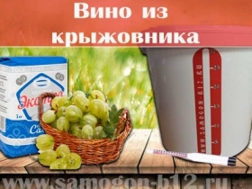 Вино из крыжовника: рецепт настоящего качественного вина. | Живем с интересом | Дзен