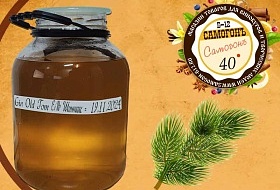 картинка джин на ферментированных брусках шиитаке