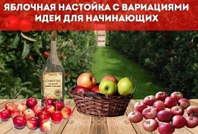 картинка как приготовить яблочную настойку