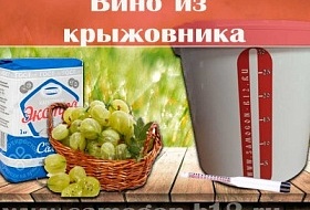 картинка вино из крыжовника рецепт